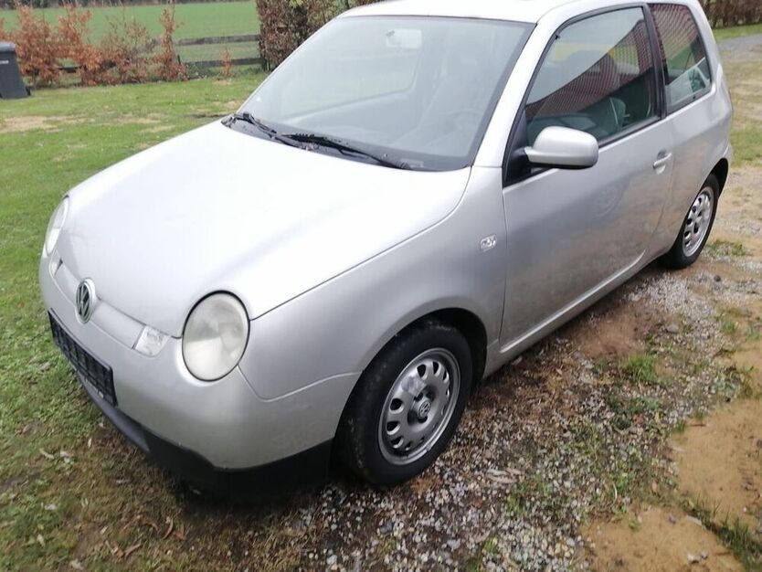 Lupo
