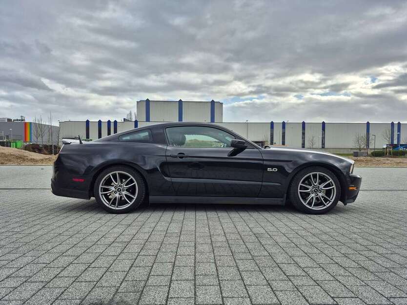 Mustang