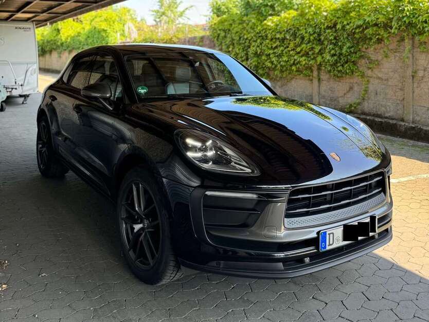 Macan