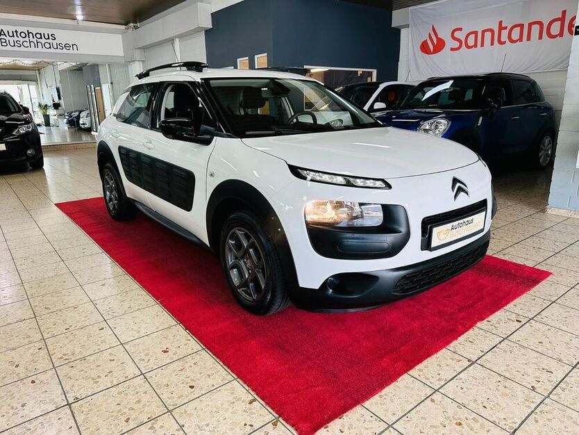 C4 Cactus