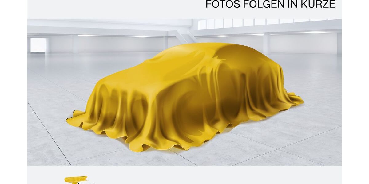 VW Beetle 52.803 km 17.440 &euro; Duisburg 47059