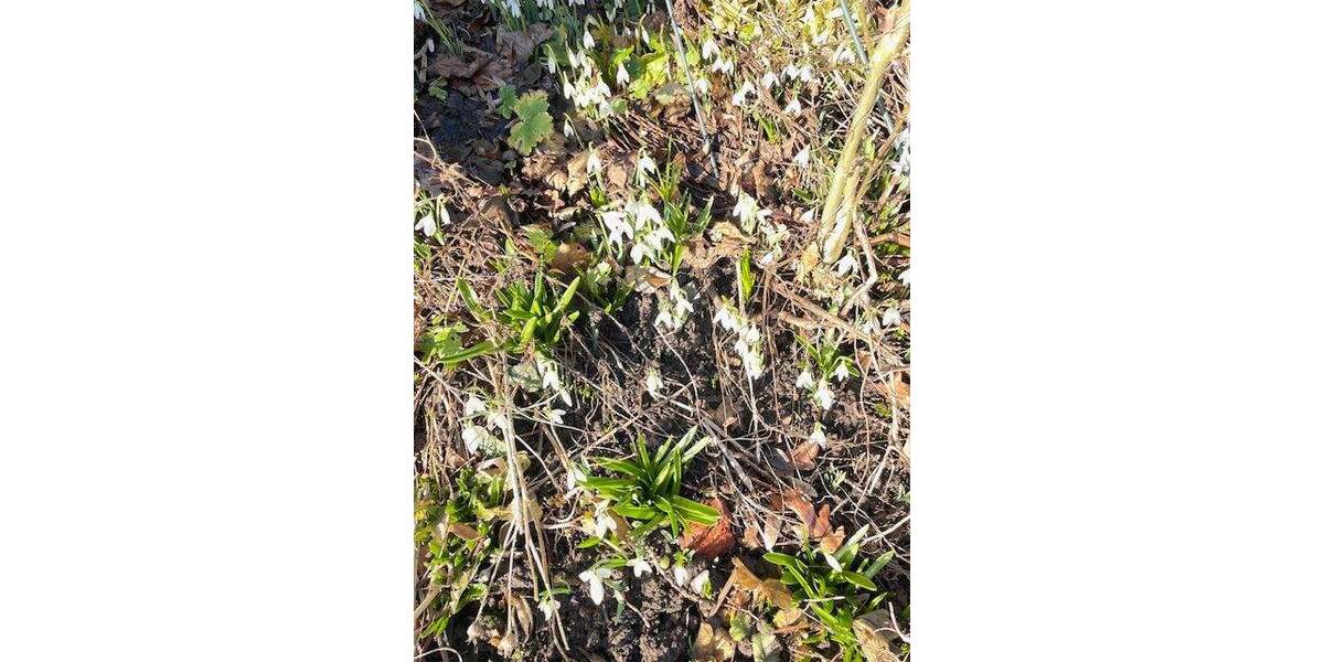 Reihenmittelhaus Wuppertal Elberfeld - 6 Zimmer, 150 m&sup2;, 439.500&euro; | Angebot:25703943