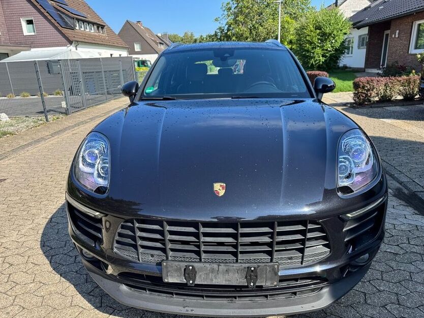 Macan
