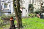 Etagenwohnung Wuppertal Elberfeld - 2 Zimmer, 45 m&sup2;, 990&euro; | Angebot:25231593