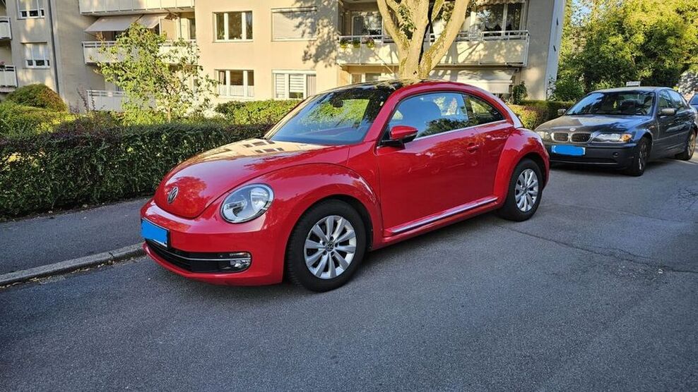 Beetle