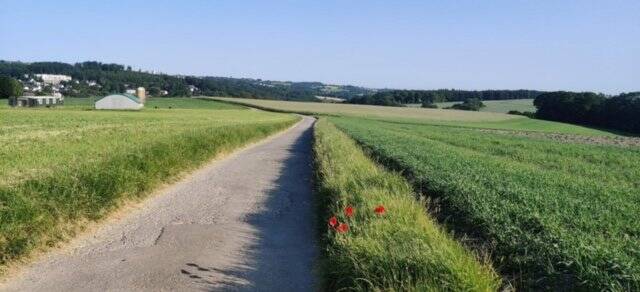 Großzügig geschnittene Wohnung in Velbert Neviges 3 zimmer