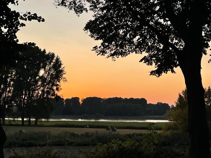 Von Privat! Ruhige und stilvolle Wohnung mit Balkon nahe Rhein.