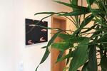 Gewerbeobjekt Mülheim an der Ruhr - 25&euro; | Angebot:25257072