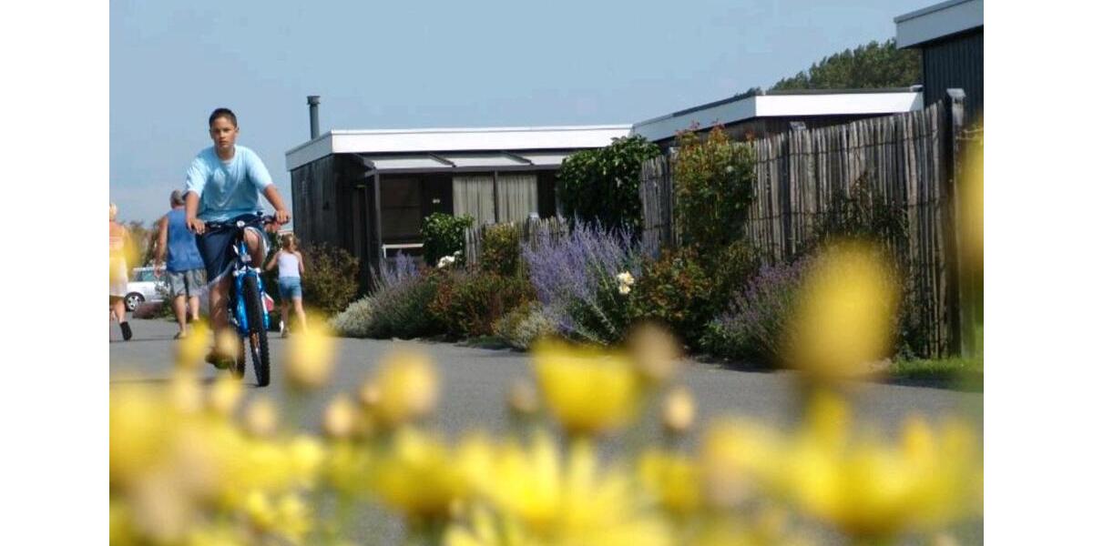 Ferienimmobilie Düsseldorf Stadtbezirk 8 - 95&euro; | Angebot:25352970