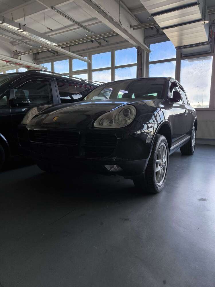 Cayenne