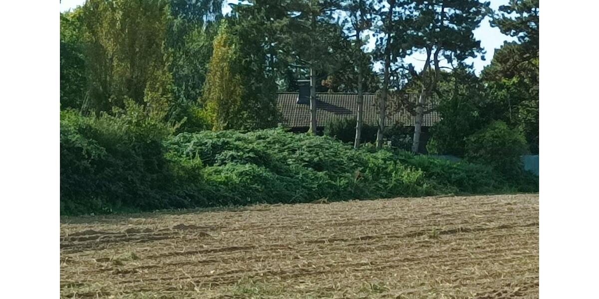 Wohnen im eigenen Park, Einfamilienhaus zimmer