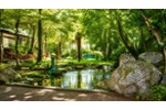 Einfamilienhaus Ratingen Lintorf - 6 Zimmer, 250 m&sup2;, 799.000&euro; | Angebot:27261832