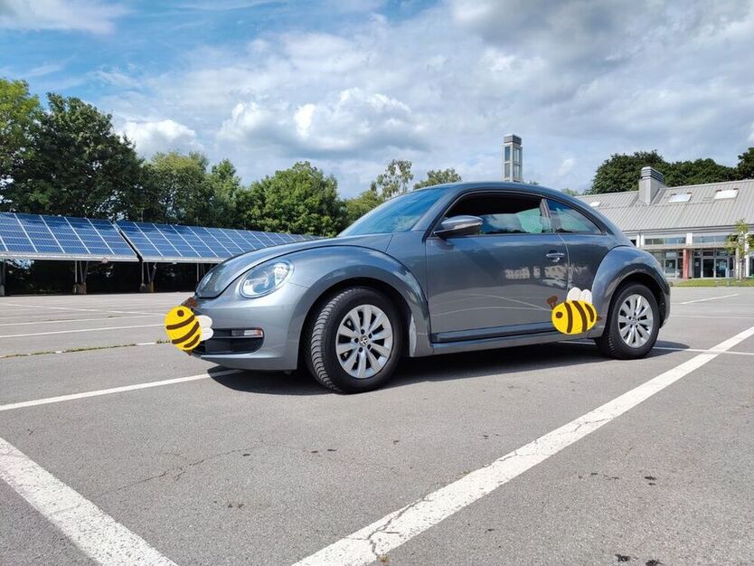 Beetle