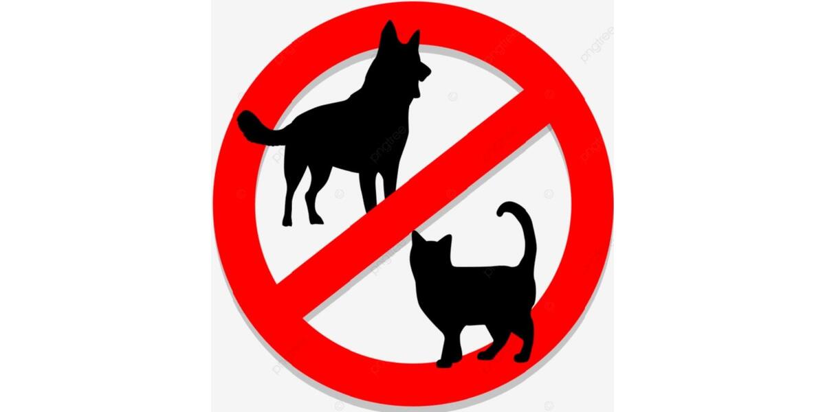 New furnished apartment, 67 m², 2.5 rooms, Neuss City, Düsseldorf 2.5 zimmer