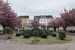 Mehrfamilienhaus, Wohnhaus Krefeld Stadtmitte - 1 Zimmer, 300 m&sup2;, 32.000&euro; | Angebot:26893015