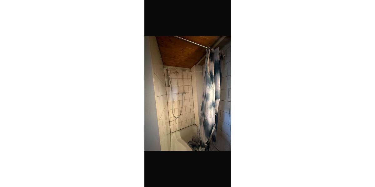 1 Zi Single Appartement Wohnung Einbauküche ab 1.5. zu vermieten 1 zimmer