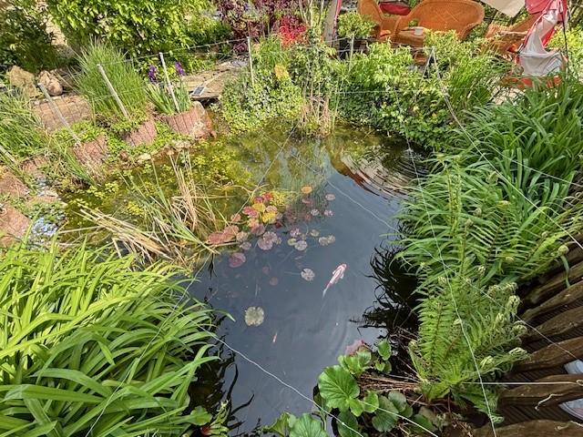 Doppelhaushälfte Mönchengladbach West - 8 Zimmer, 180 m&sup2;, 1.600&euro; | Angebot:24867988