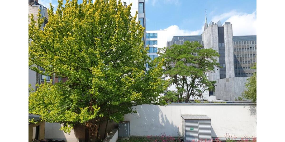 Etagenwohnung Düsseldorf Stadtbezirk 3 - 1 Zimmer, 48 m&sup2;, 190.000&euro; | Angebot:26705264