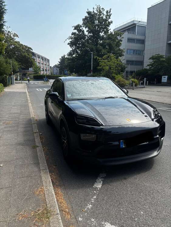 Macan