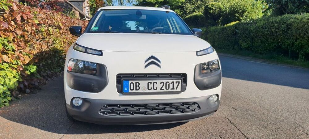 C4 Cactus