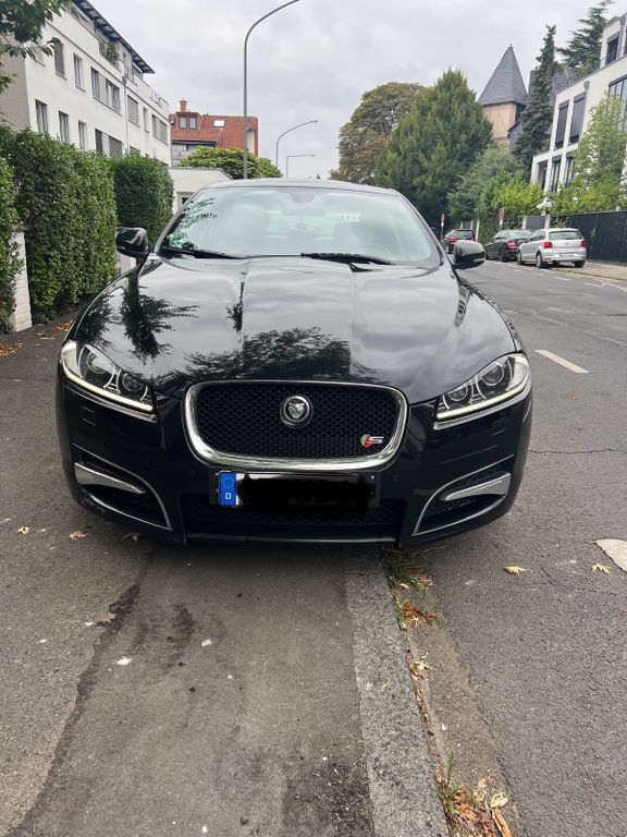 XF