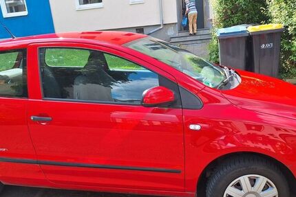 VW Fox