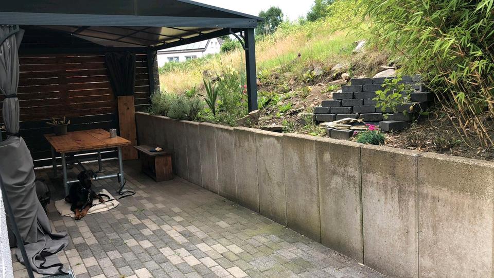 wohnung zu vermieten 3 zimmer