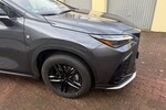 NX
