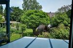 Mehrfamilienhaus, Wohnhaus Duisburg Essenberg - 8 Zimmer, 221 m&sup2;, 498.000&euro; | Angebot:26495616